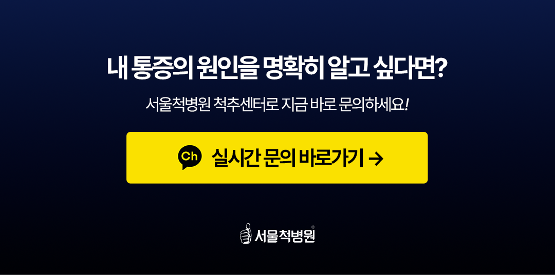 척추전문병원서울척병원 척추전문병원서울척병원